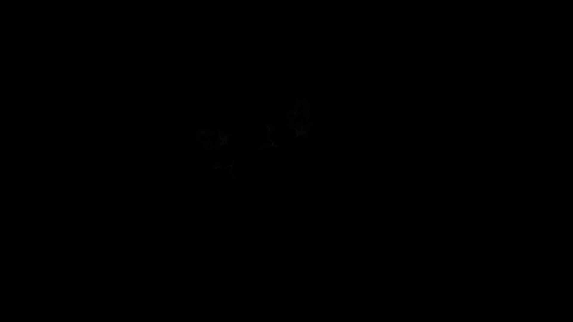 IPC - INK TRANSITION (3).mov